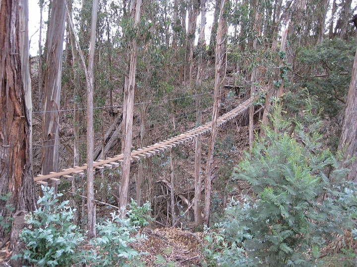 16 Zipline on Haleakala.jpg